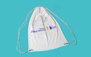 VI 贴图 智能模板 样机图片