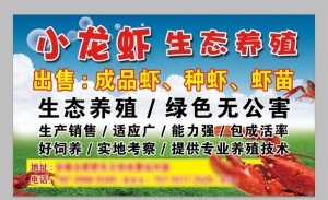 小龙虾生态养殖图片