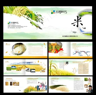 大米宣传手册图片