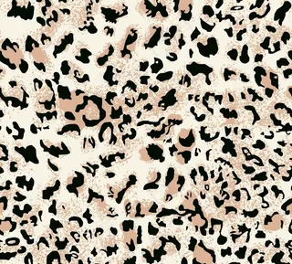 豹纹图片