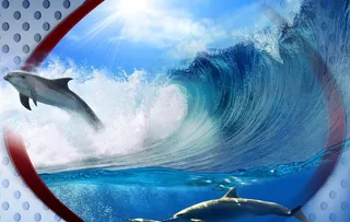 电视背景墙图片