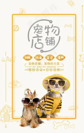 宠物店图片