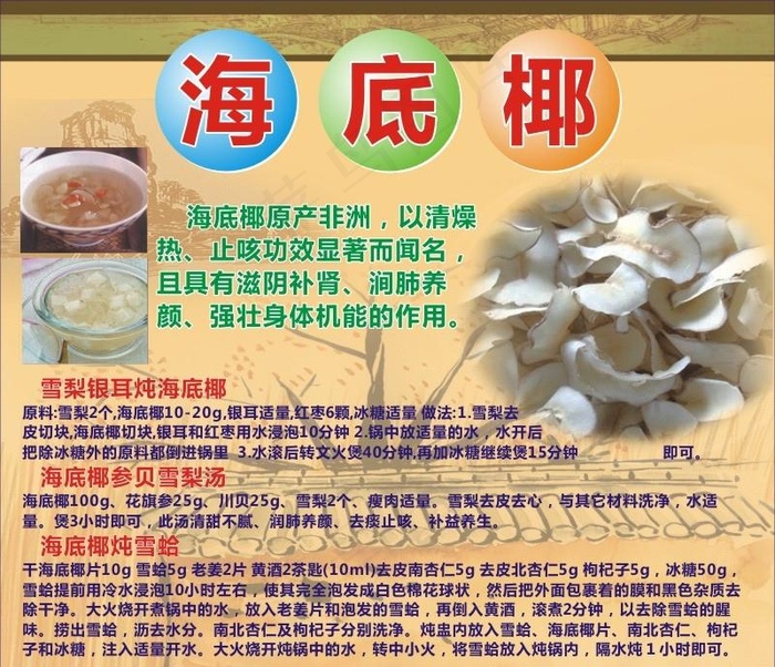 海底椰简介图片cdr矢量模版下载