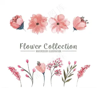 水彩绘粉色花卉图片