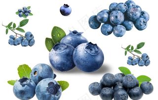 蓝莓图片