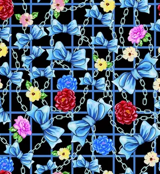 链条  玫瑰图片