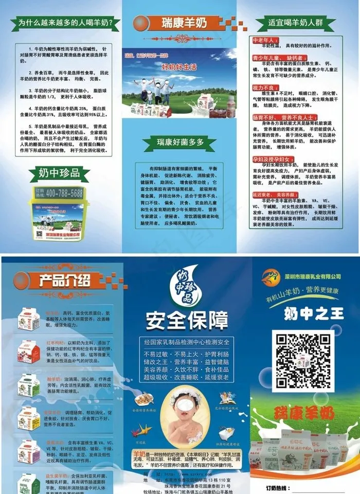羊奶三折页 羊奶海报 牛奶海报图片(3508X2480(DPI:300))psd模版下载