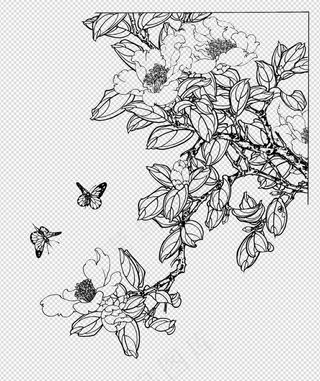 免扣图 山茶花 蝴蝶手绘图图片
