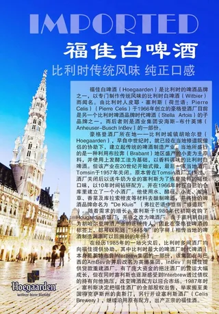 福佳白啤酒图片