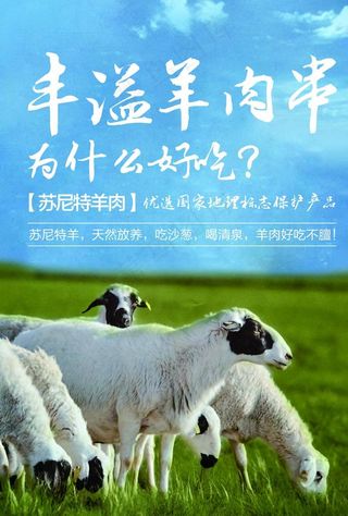 草原羊海报图片