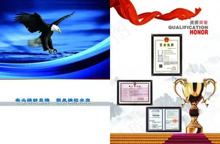公司荣誉图片