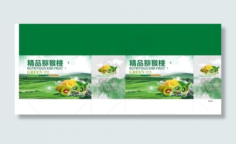 猕猴桃通用版面图片(210X297)cdr矢量模版下载