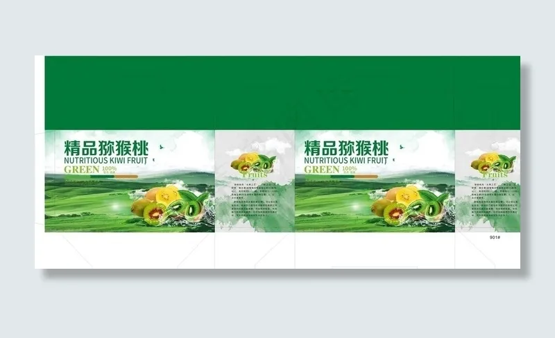 猕猴桃通用版面图片(210X297)cdr矢量模版下载