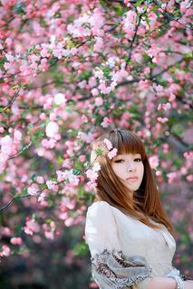 桃花美女图片