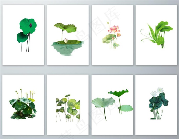 绿色荷叶荷花PNG免抠素材图片