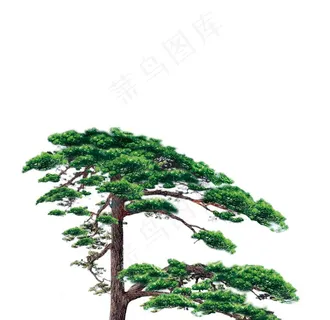 松树迎客松山顶企业文化合成素材图片