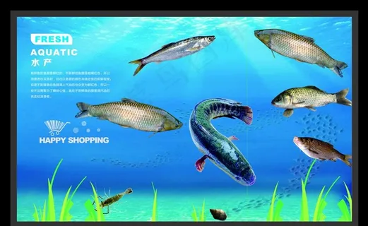 水产形象广告 水产广告图片