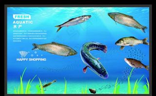 水产形象广告 水产广告图片