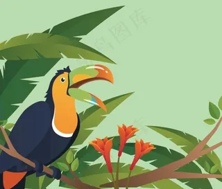 野外巴西巨嘴鸟图片