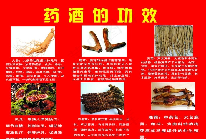 药酒的功效图片psd模版下载