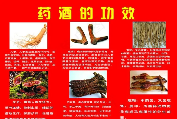药酒的功效图片psd模版下载