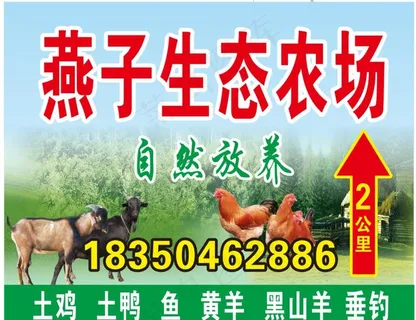 燕子生态农场图片