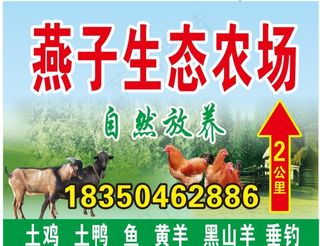 燕子生态农场图片