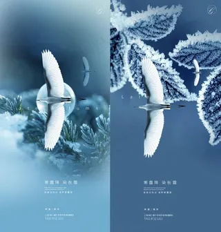 寒露霜降白鹭系列稿图片