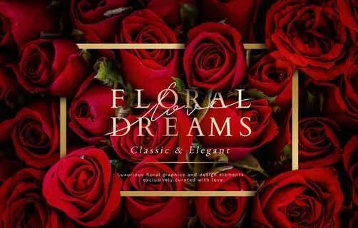 玫瑰花背景图片