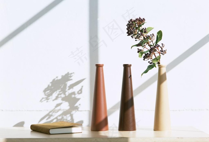 家居植物艺术图片