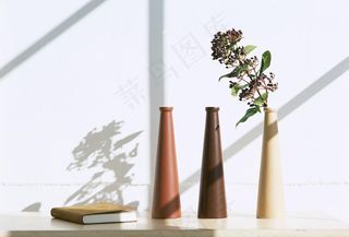 家居植物艺术图片