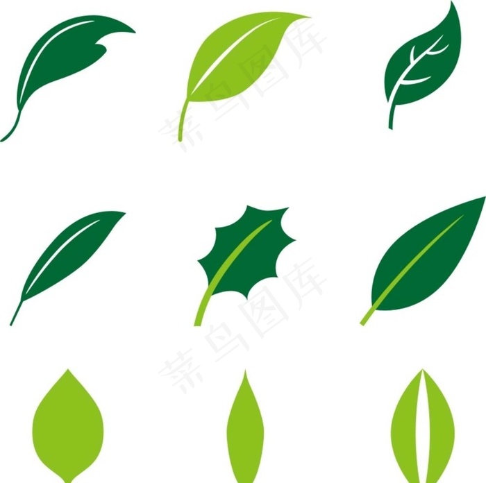 树叶图片cdr矢量模版下载
