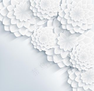 白色剪纸花卉图片