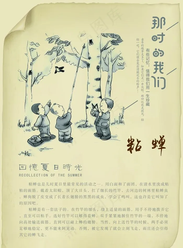 儿时的记忆-粘蝉图片