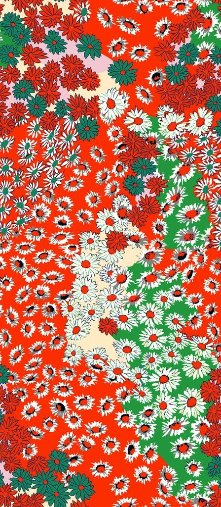 橘色图片
