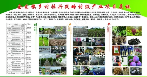 会发镇乡村振兴战略村级产业项目图片