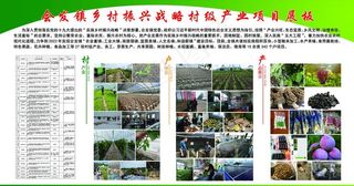 会发镇乡村振兴战略村级产业项目图片