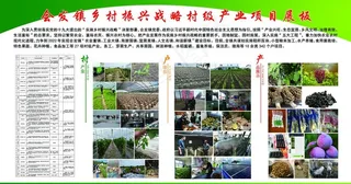 会发镇乡村振兴战略村级产业项目图片