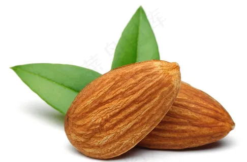 巴旦木图片 巴旦木图片