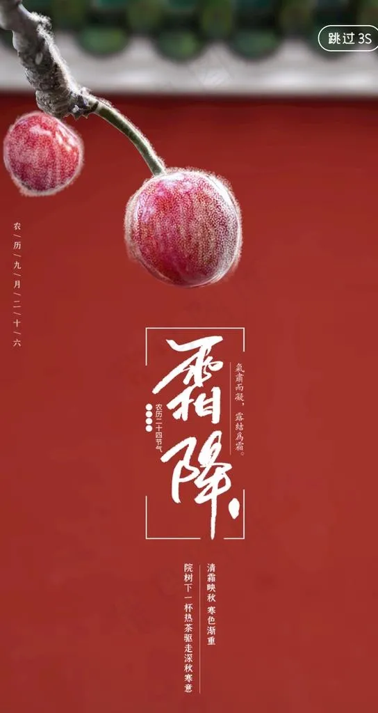 霜降图片(1242X2209(DPI:72))psd模版下载