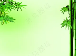 竹子背景图片