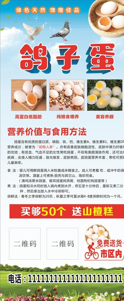 鸽子蛋展架图片(800X1800)cdr矢量模版下载