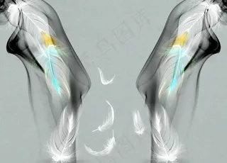 羽毛背景墙图片