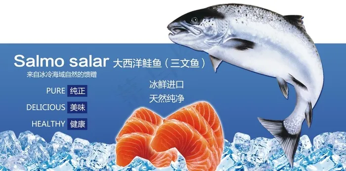 三文鱼图片(4252X2233(DPI:72))psd模版下载