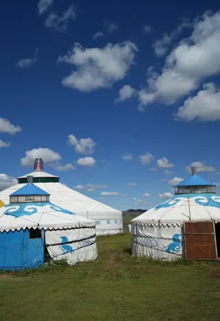 草原蒙古菜鸟图库片