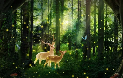 麋鹿荧火虫森林图片
