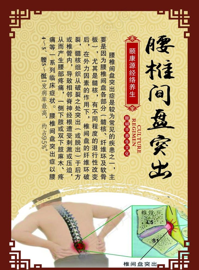 腰间盘图片