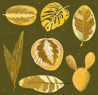 线条矢量手绘花草植物图片