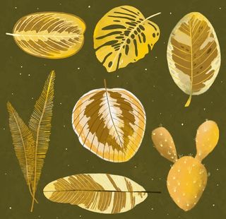 线条矢量手绘花草植物图片