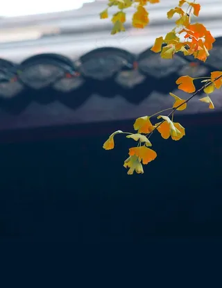 海报背景 促销背景 背景展板图片